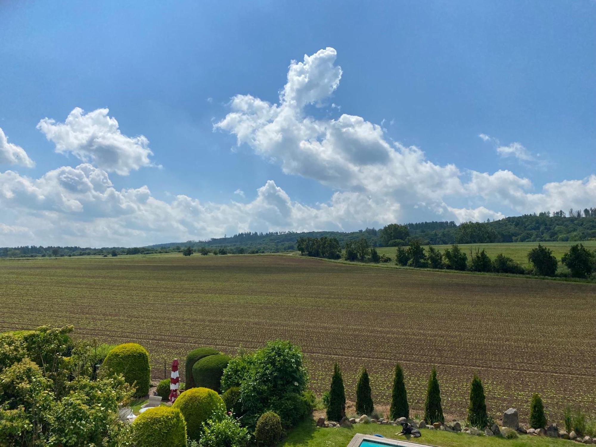 Ferien- Und Messewohnung In Idyllischer Lage Nordstemmen Εξωτερικό φωτογραφία