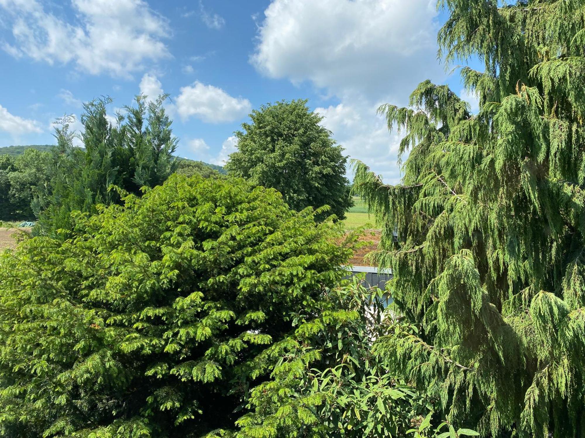 Ferien- Und Messewohnung In Idyllischer Lage Nordstemmen Εξωτερικό φωτογραφία